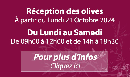 Lou Mouli d'Oli - Réception des Olives - Dates 2024